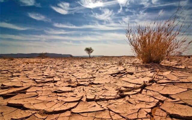 بحران آب بلوچستان؛ بیش از دو هزار روستا از آب شرب پایدار محروماند و زنان و کودکان بیشترین آسیب را میبینند